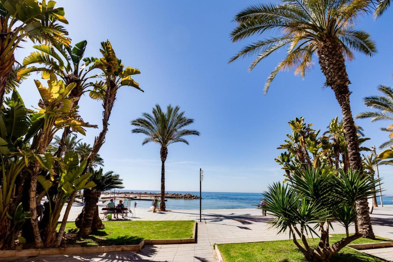 Studio Tamarindo Τορεβιέχα Εξωτερικό φωτογραφία
